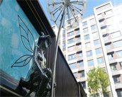 【海米故事】細(xì)節(jié)之處 感受社區(qū)溫度